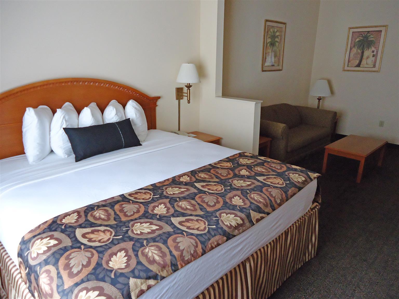 Best Western Magnolia Inn And Suites Ледсон Екстер'єр фото